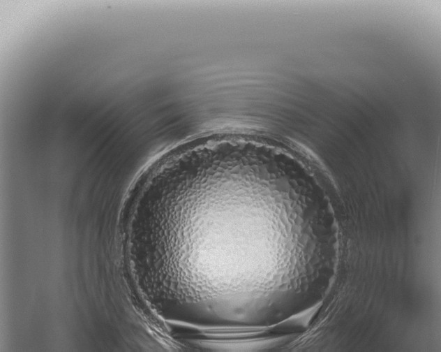 X0000060581027200511101650