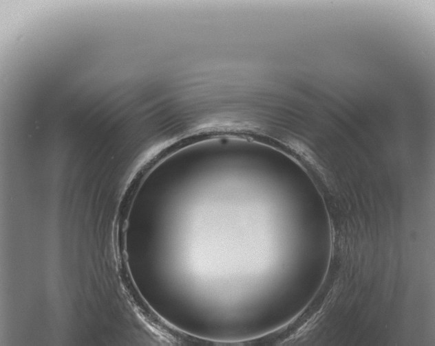 X0000060581030200511101650