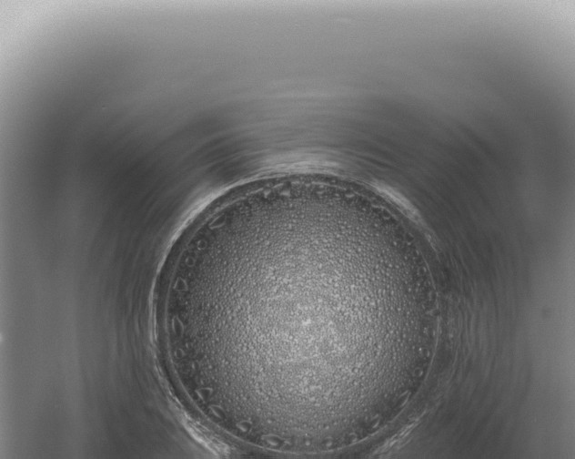 X0000060581031200511101650