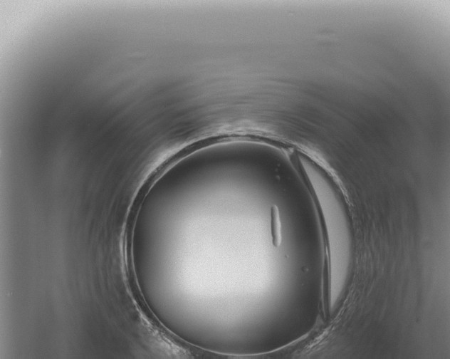 X0000060581032200511101650