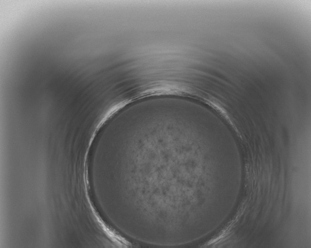 X0000060581034200511101650