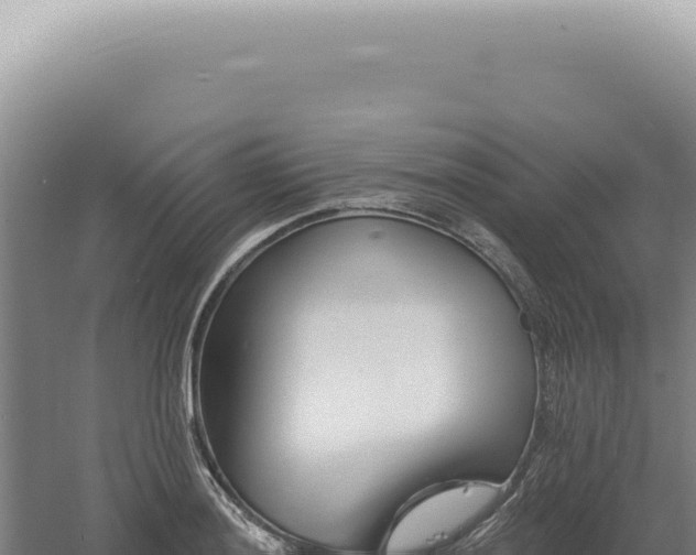 X0000060581036200511101650