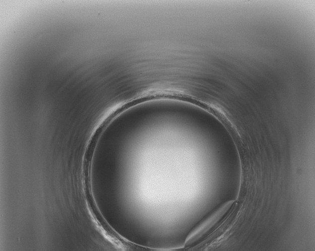 X0000060581038200511101650