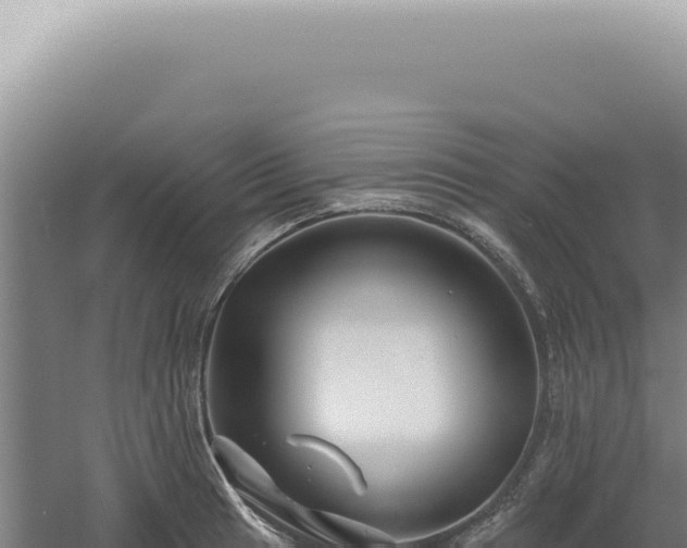 X0000060581041200511101650