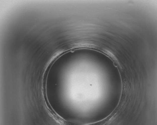 X0000060581043200511101650