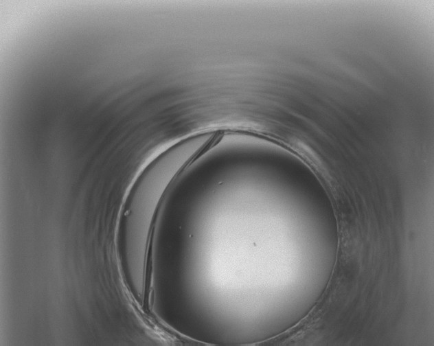 X0000060581044200511101650