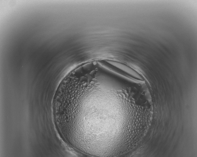 X0000060581047200511101651