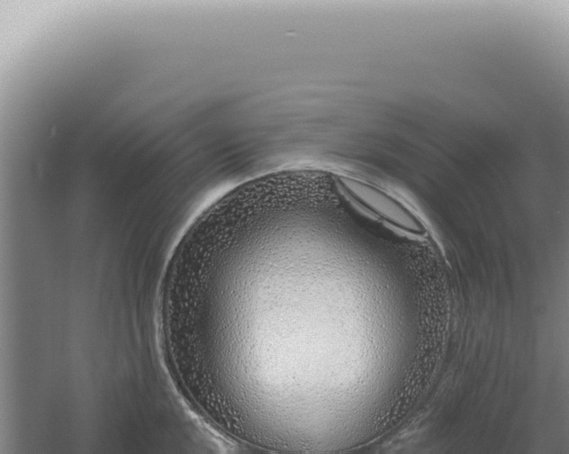 X0000060581048200511101651