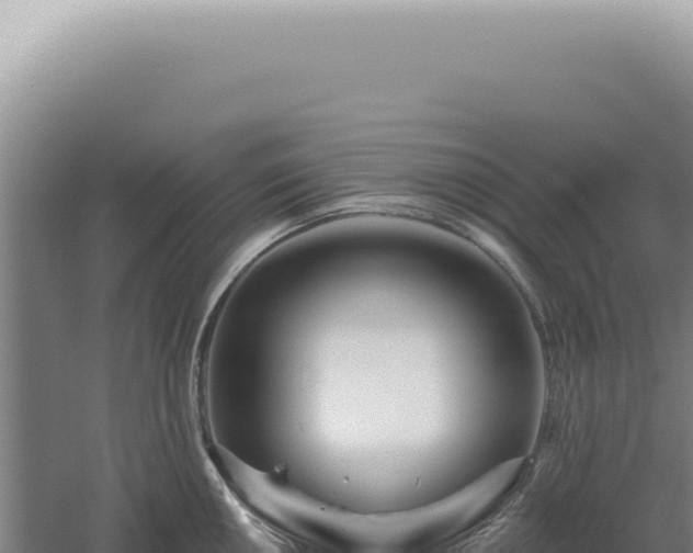 X0000060581050200511101651