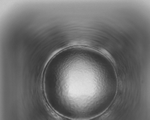 X0000060581052200511101651