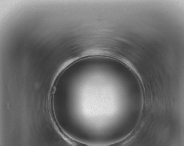 X0000060581053200511101651