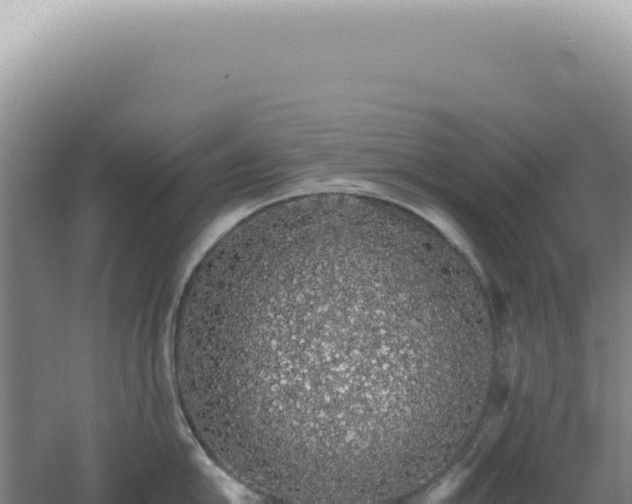 X0000060581054200511101651