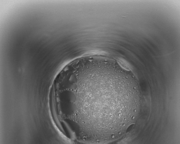 X0000060581055200511101651