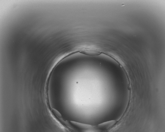 X0000060581056200511101651