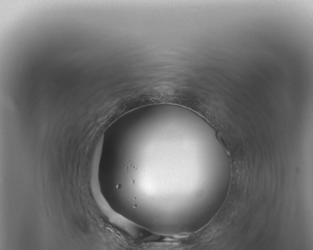 X0000060581057200511101650