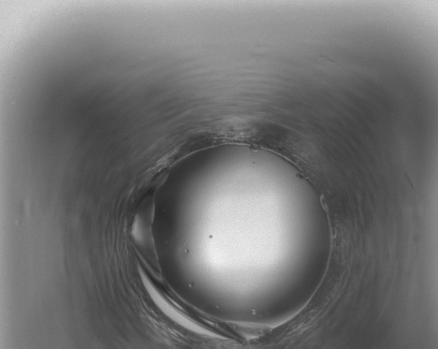 X0000060581058200511101650