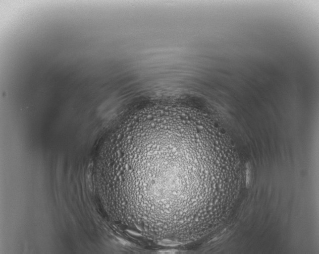 X0000060581059200511101650