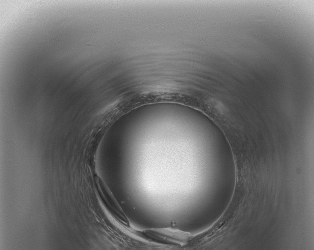 X0000060581062200511101650