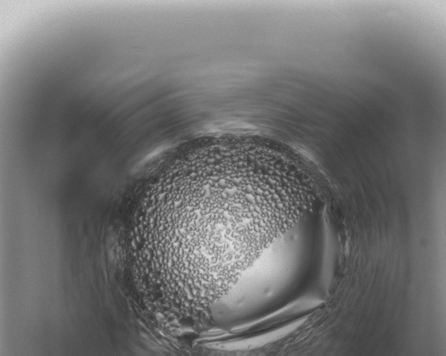 X0000060581063200511101650