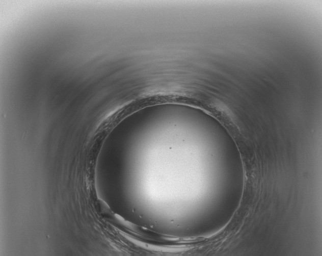 X0000060581064200511101650