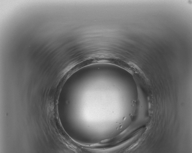 X0000060581065200511101650