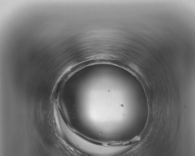 X0000060581067200511101650