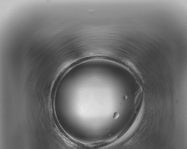 X0000060581072200511101650