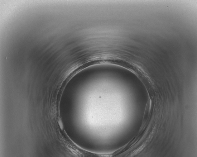 X0000060581073200511101650