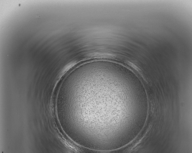 X0000060581074200511101650