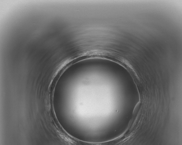 X0000060581075200511101650