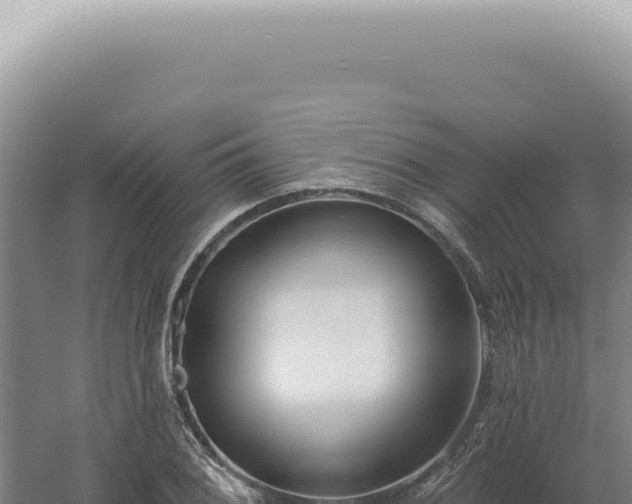 X0000060581076200511101650