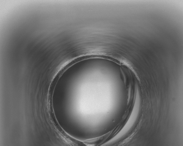 X0000060581077200511101650