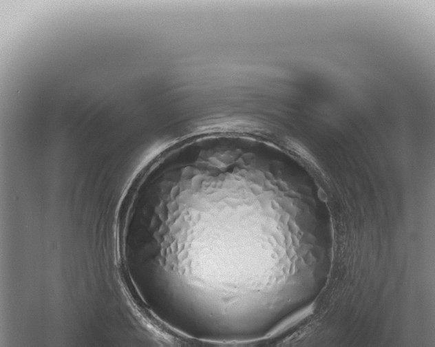 X0000060581079200511101649