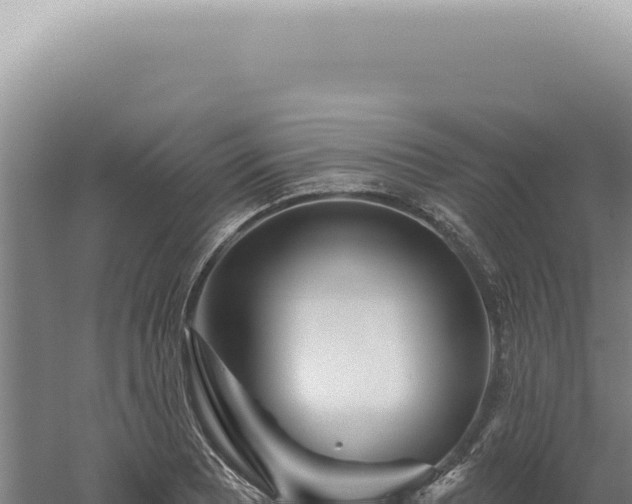 X0000060581081200511101649