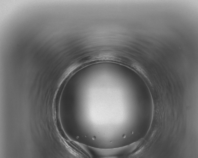 X0000060581082200511101649