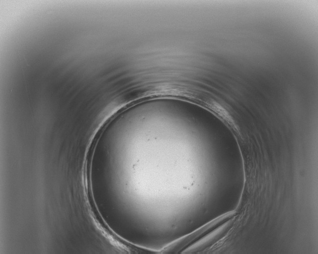 X0000060581084200511101649