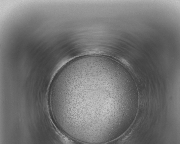 X0000060581086200511101649