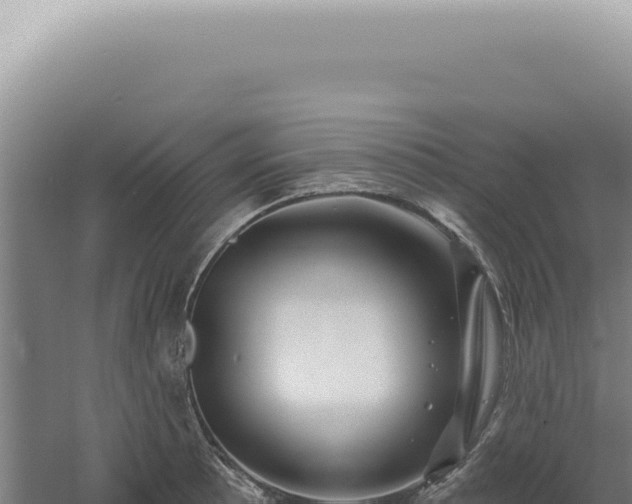 X0000060581089200511101649