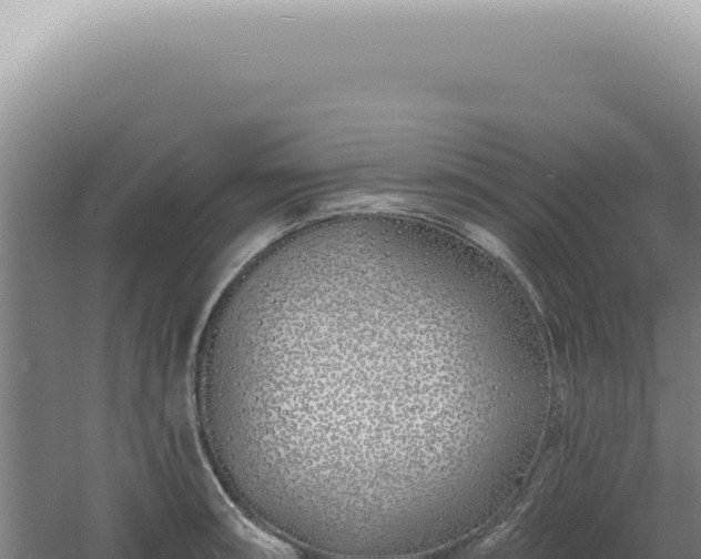 X0000060581090200511101649