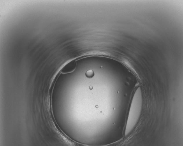 X0000060581092200511101649