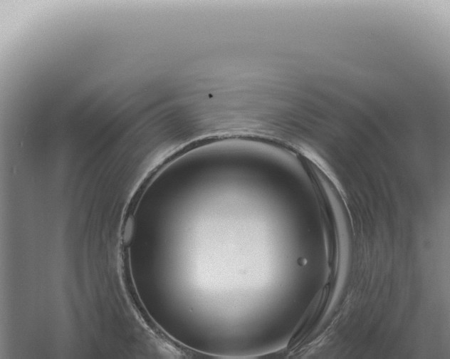 X0000060581093200511101649