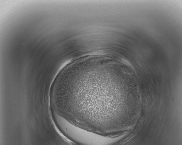 X0000060581095200511101649