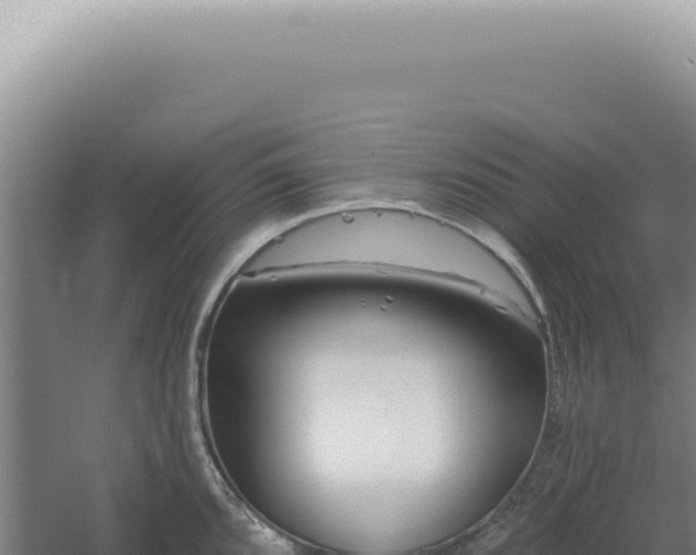 X0000060581096200511101649