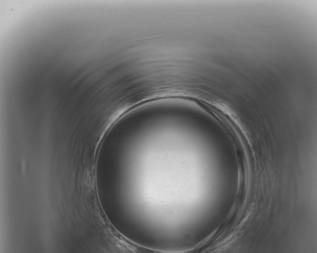 X0000060581097200511101649