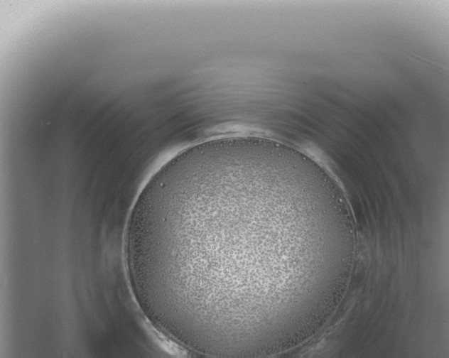 X0000060581098200511101649