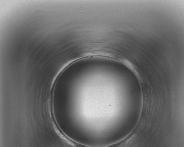 X0000060581100200511101649