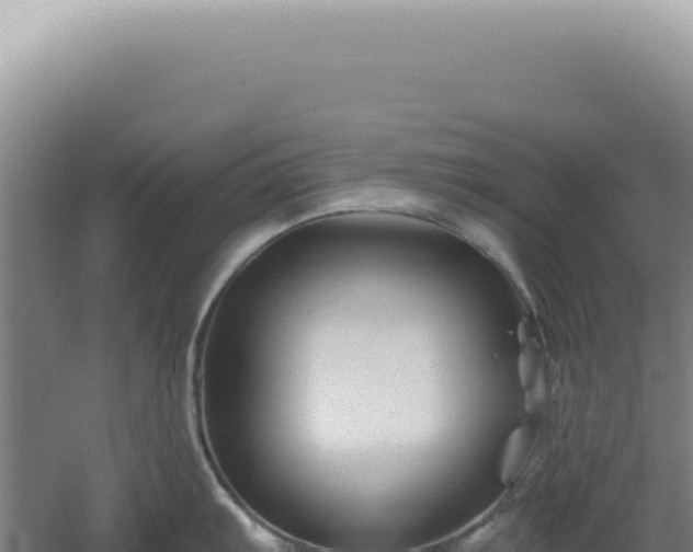 X0000060581103200511101649