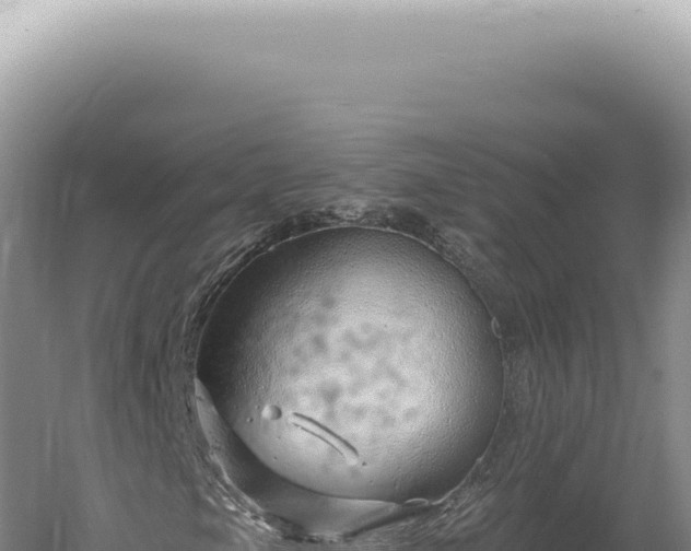 X0000060581105200511101648