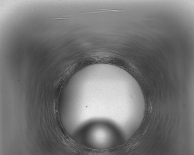 X0000060581108200511101648