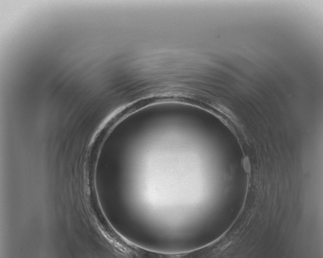 X0000060581120200511101649